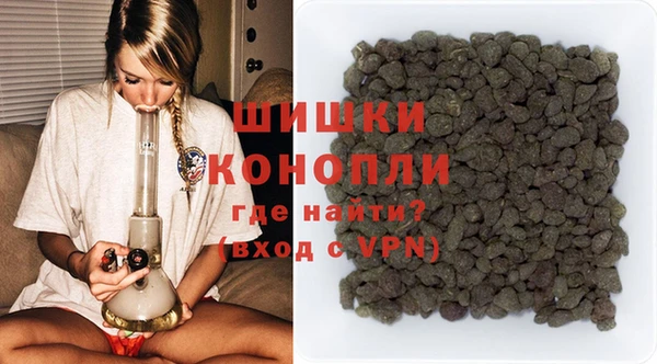 сатива Абинск