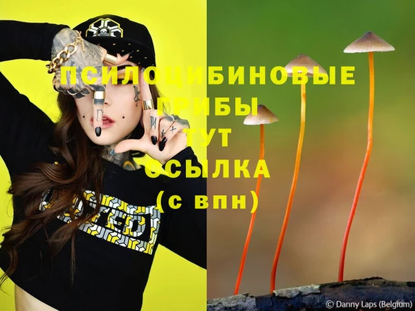 COCAINE Абаза